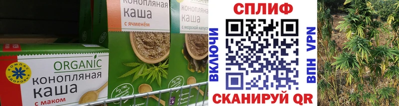 как найти закладки  Жердевка  Печенье с ТГК конопля 